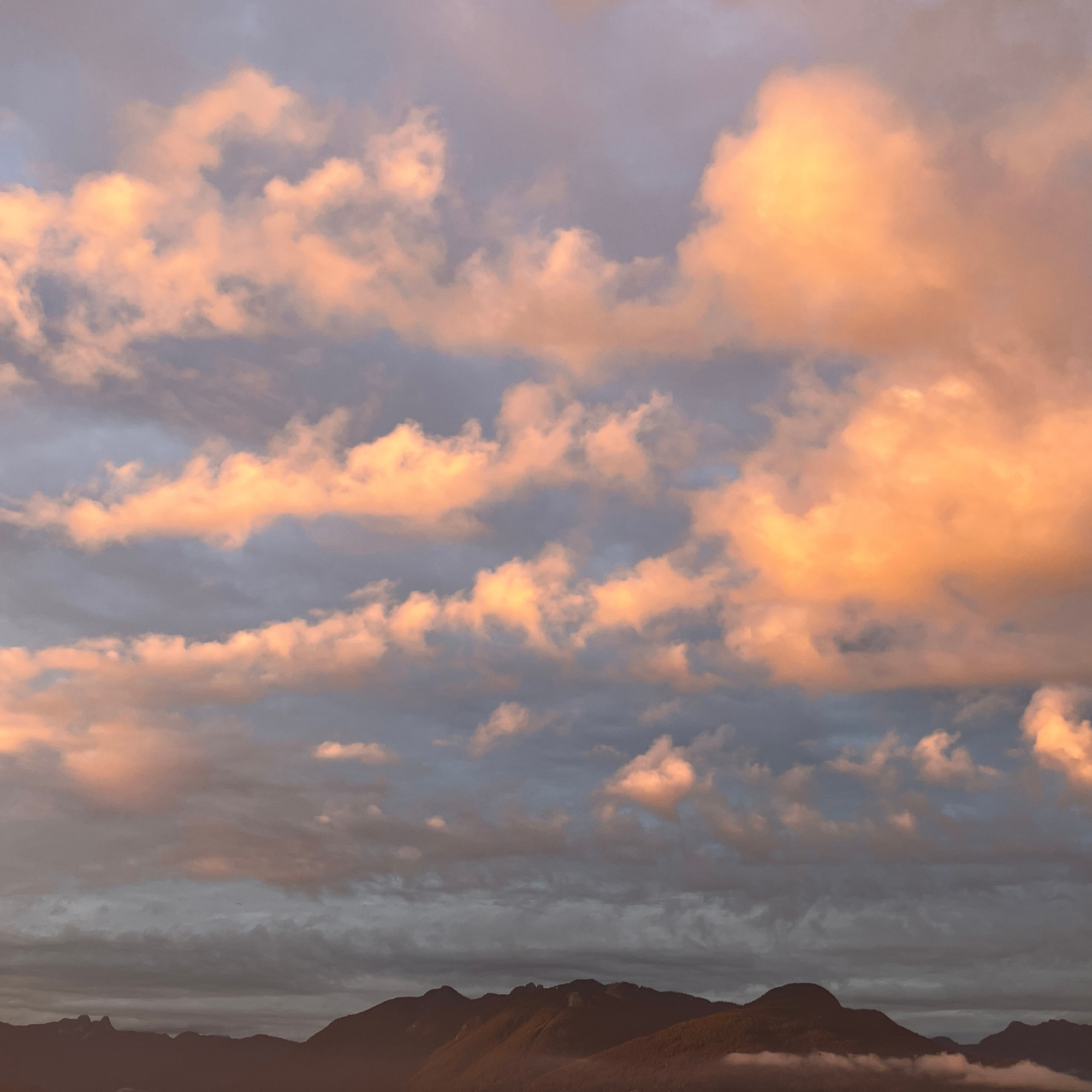 Now available: download campaign flyers, repost-ready graphics, & more in our cloud drive!